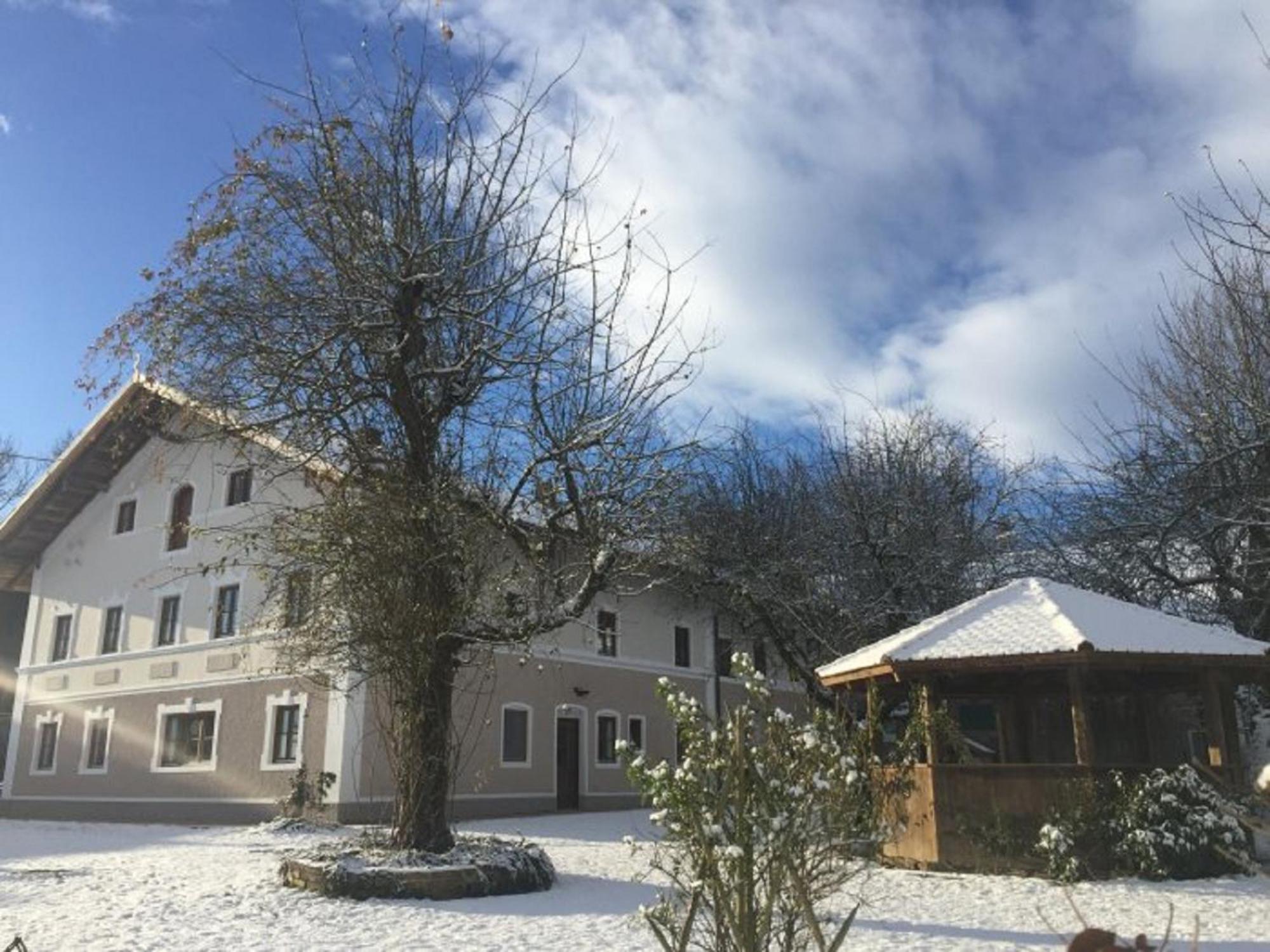 Gaestehof Huber Appartement Forstern
